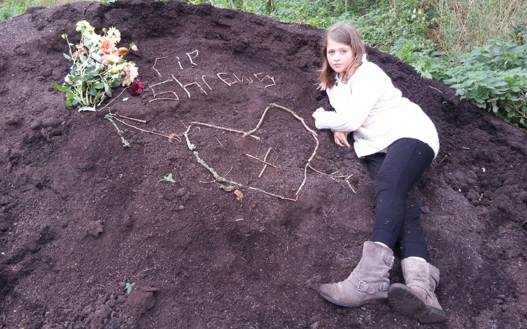 Memorial for the shrews